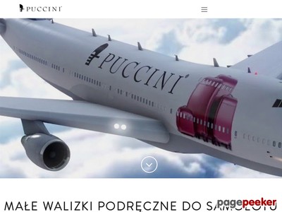 Małe walizki podręczne na kółkach marki Puccini wykonane są z wysokiej jakości, trwałych materiałów termoplastycznych, dzięki czemu są odporne na wszelkie uszkodzenia mechaniczne i wgniecenia.  Bagaże podróżne wyposażone są w kauczukowe kółka, które osadzone są na łożyskach i obracają się o 360 st. (dostępne są walizki z dwoma lub czterema obrotowymi kółkami), które gwarantują komfort ich transportu po każdej powierzchni. 
Bagaże podręczne Puccini są niezwykle lekkie i pojemne, mają świetnie zaprojektowane wnętrze, wyposażone w dodatkowe kieszenie, przegrody czy szelki. Wszystkie walizki posiadają wygodną wysuwaną rączkę i miękkie uchwyty. Co ważne – posiadają zabezpieczenie TSA, dzięki któremu służby celne mogą otworzyć walizkę specjalnym kluczem i sprawdzić jej zawartość bez konieczności użycia nożyc i uszkodzenia zamka. 
Bagaże podróżne i walizki podręczne można zabrać ze sobą na pokład samolotu – ich wymiary odpowiadają wymaganiom większości linii lotniczych. ./_thumb/walizki-kabinowe.pl.png